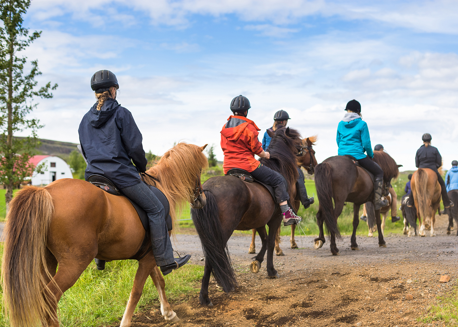 Icelandic Horseback Riding Tours