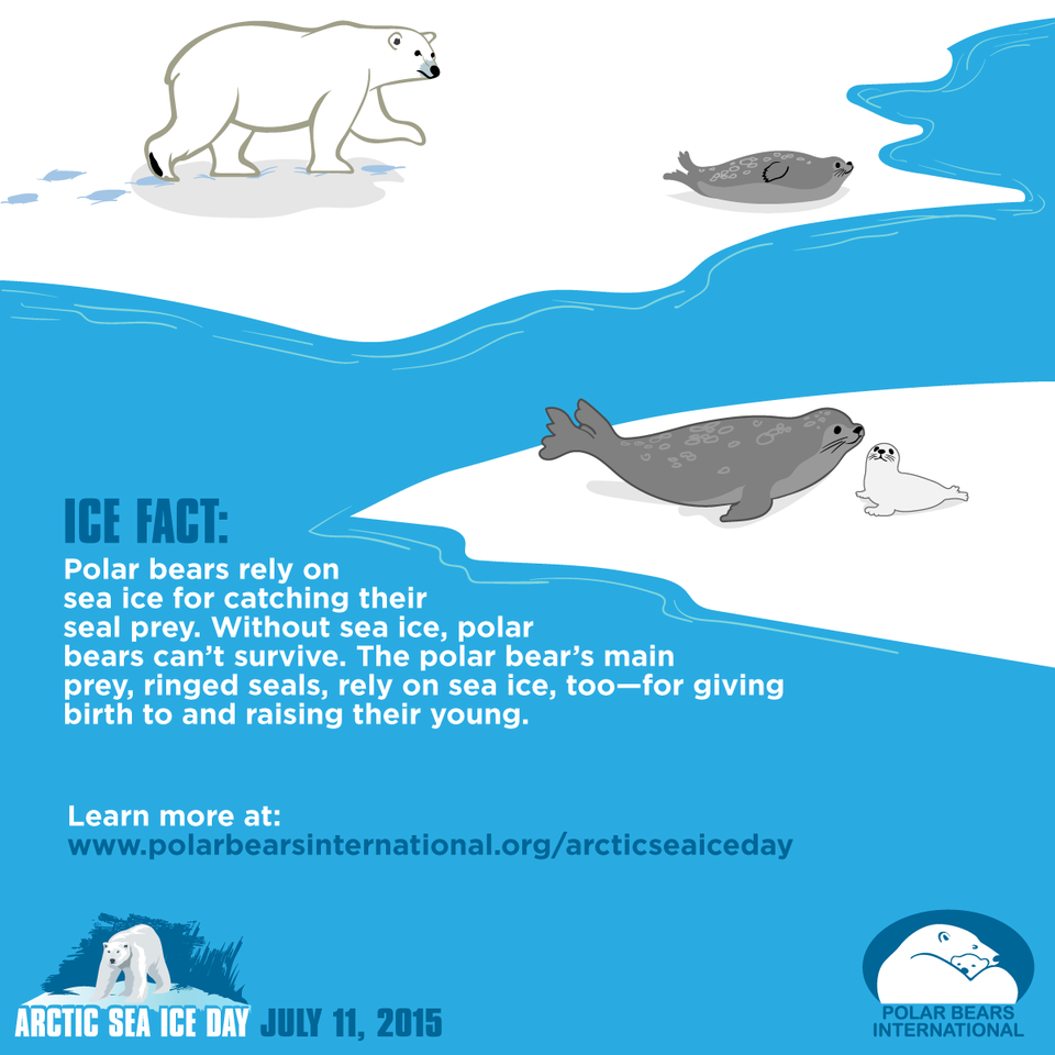 Ice Fact: Courtesy of Polar Bears International