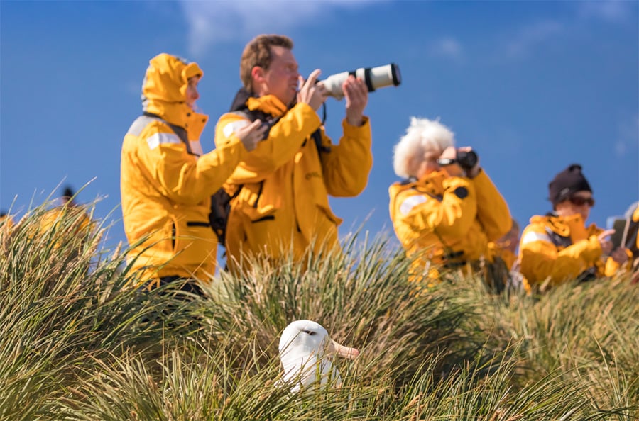 Bird-watching, especially the chance to photograph species seldom seen in the northern hemisphere, attracts many enthusiasts to book Quark Expeditions' voyages to Patagonia and the Antarctic regions.