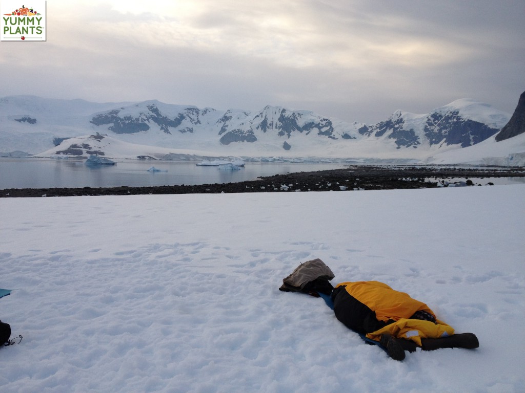 Passenger camping in Antarctica with icebergs in the background