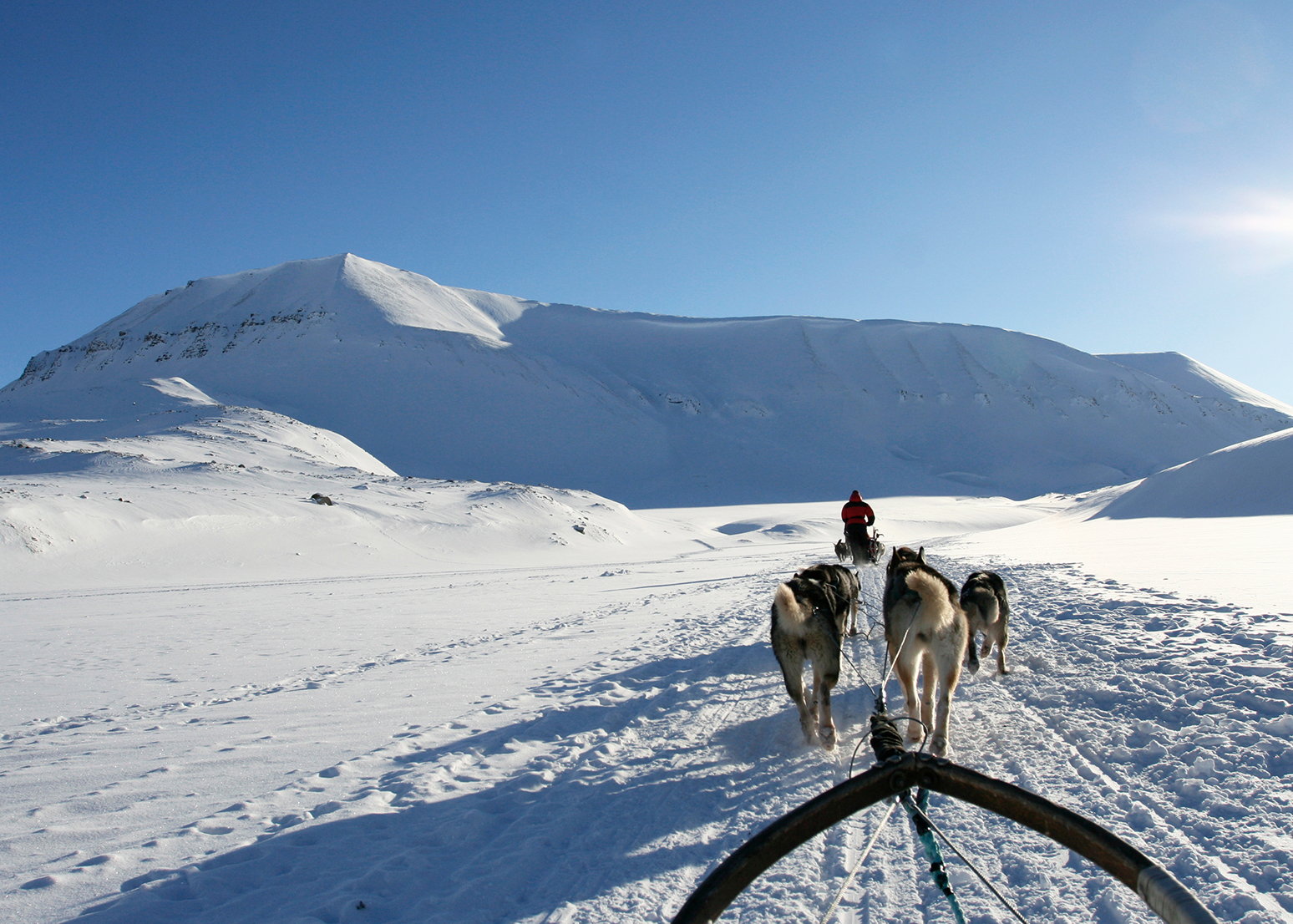 Dog Sledding - Longyearbyen, Svalbard