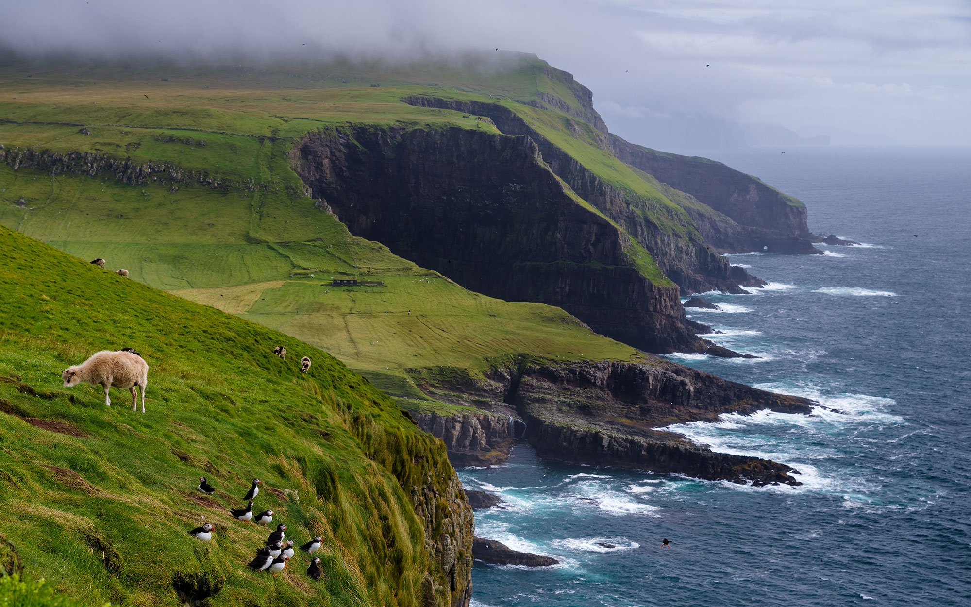 Grassy cliffs of the Faroe Islands.