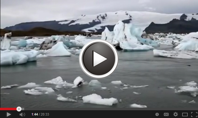 Video: Status and Trends of Arctic Biodiversity