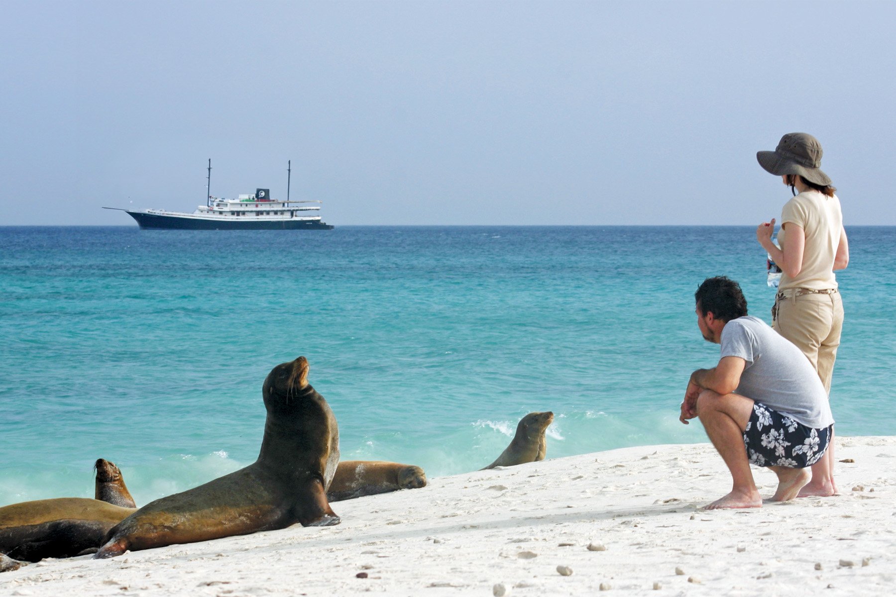 Wildlife Encounters in the Galapagos Islands