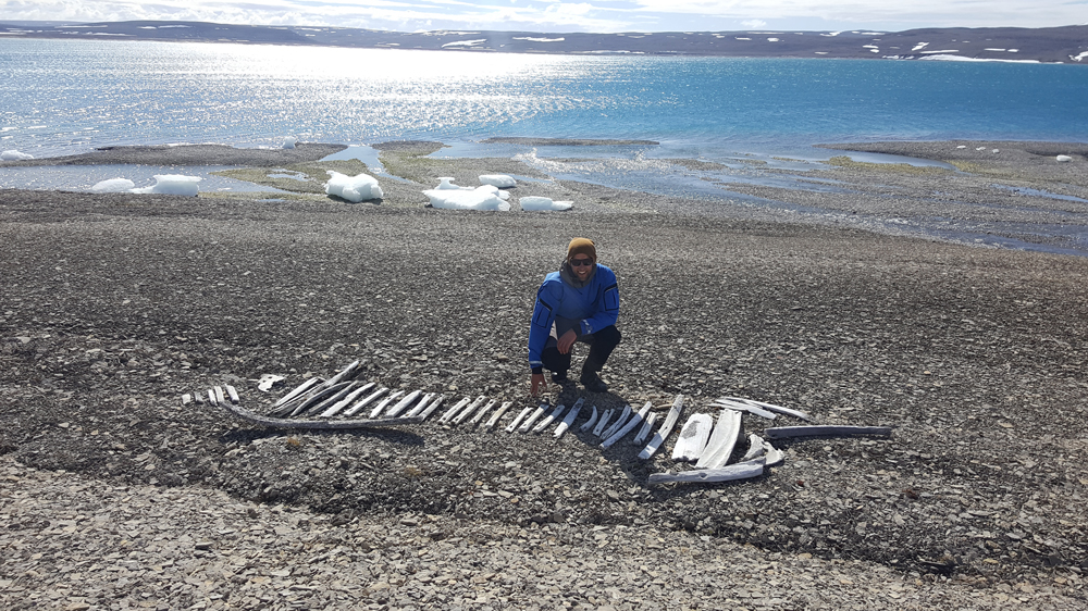Arctic Watch Wilderness Lodge guide Tessum Weber alongside an ancient Thule sled made of whale bone. Photo Katie Palmer