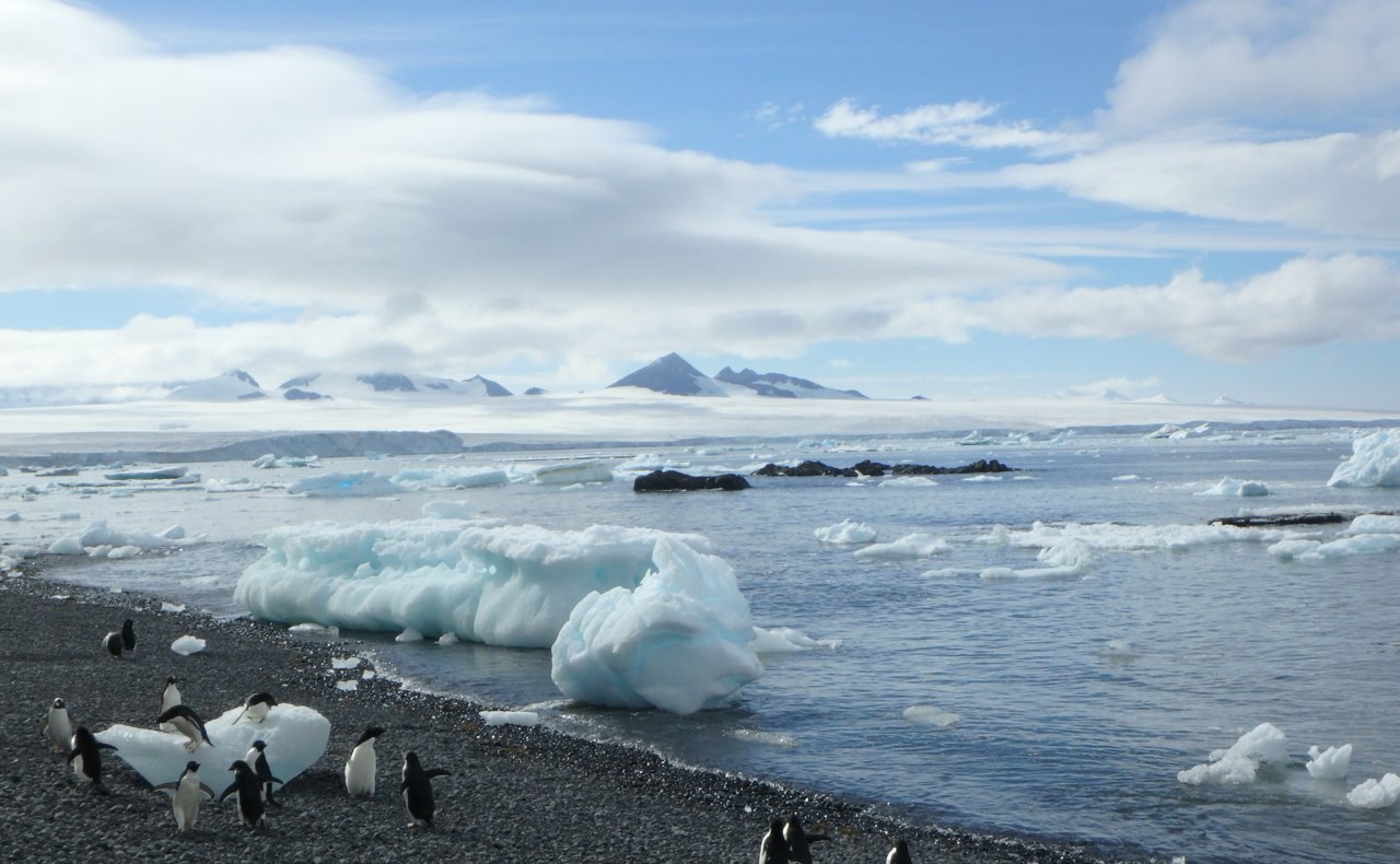 Adelie penguins play amidst great chunks of ice on a frigid Antarctic beach, the mountains of the peninsula on the horizon.