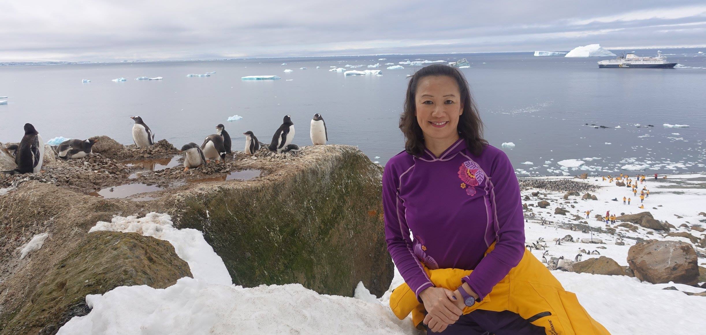 May Lee enjoys a quiet moment with a colony of Gentoo penguins perched high above an Antarctic bay, the Ocean Endeavour in the background