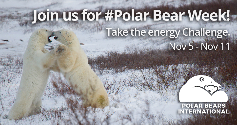Take the Energy Challenge - Polar Bears International