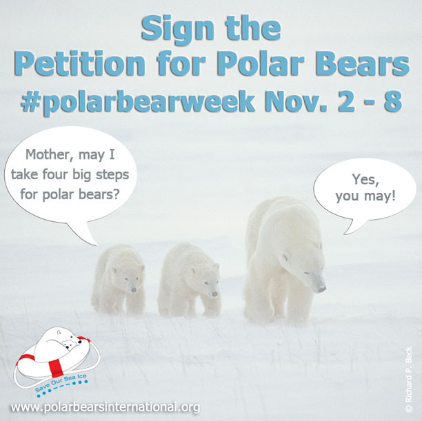 Polar_Bear_Week_2_Partners