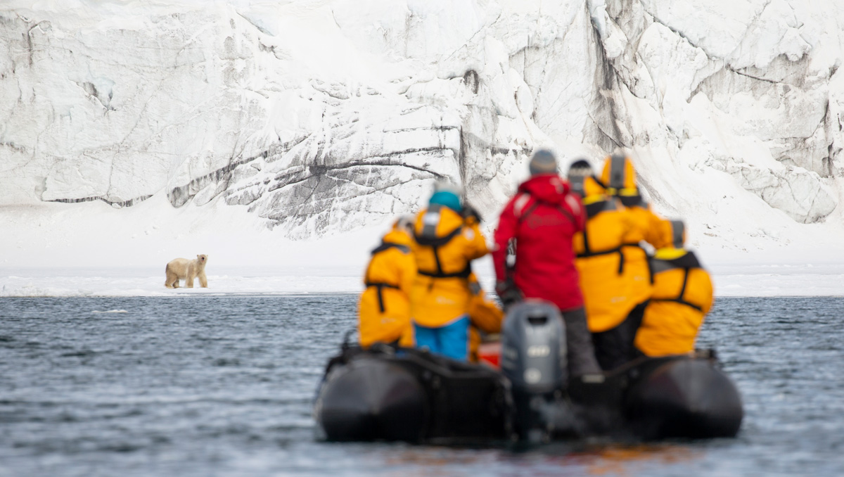 Quark passengers watch a polar bear from a zodiac.