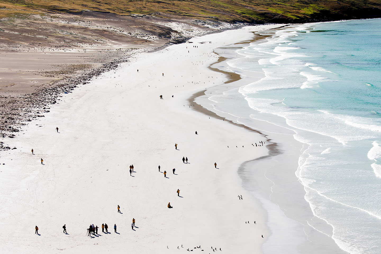 Visitors to the Falkland Islands are often surprised to discover so many sandy beaches on this remote sub-Antarctic island