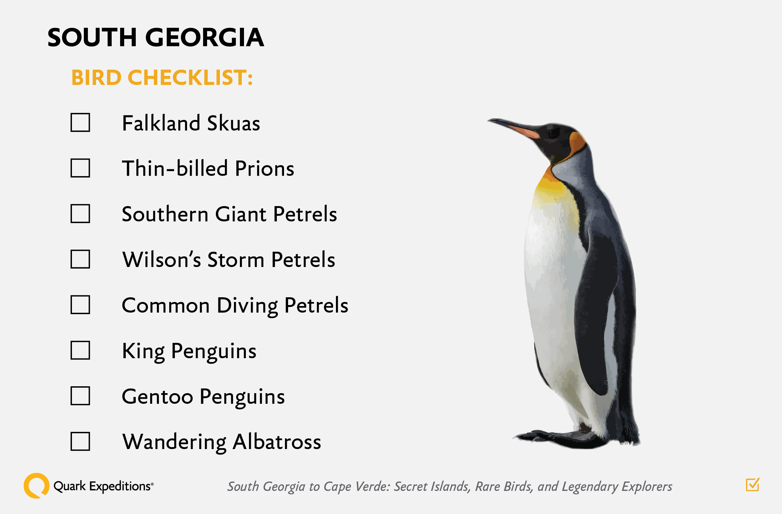 South Georgia Birding Checklist Graphic