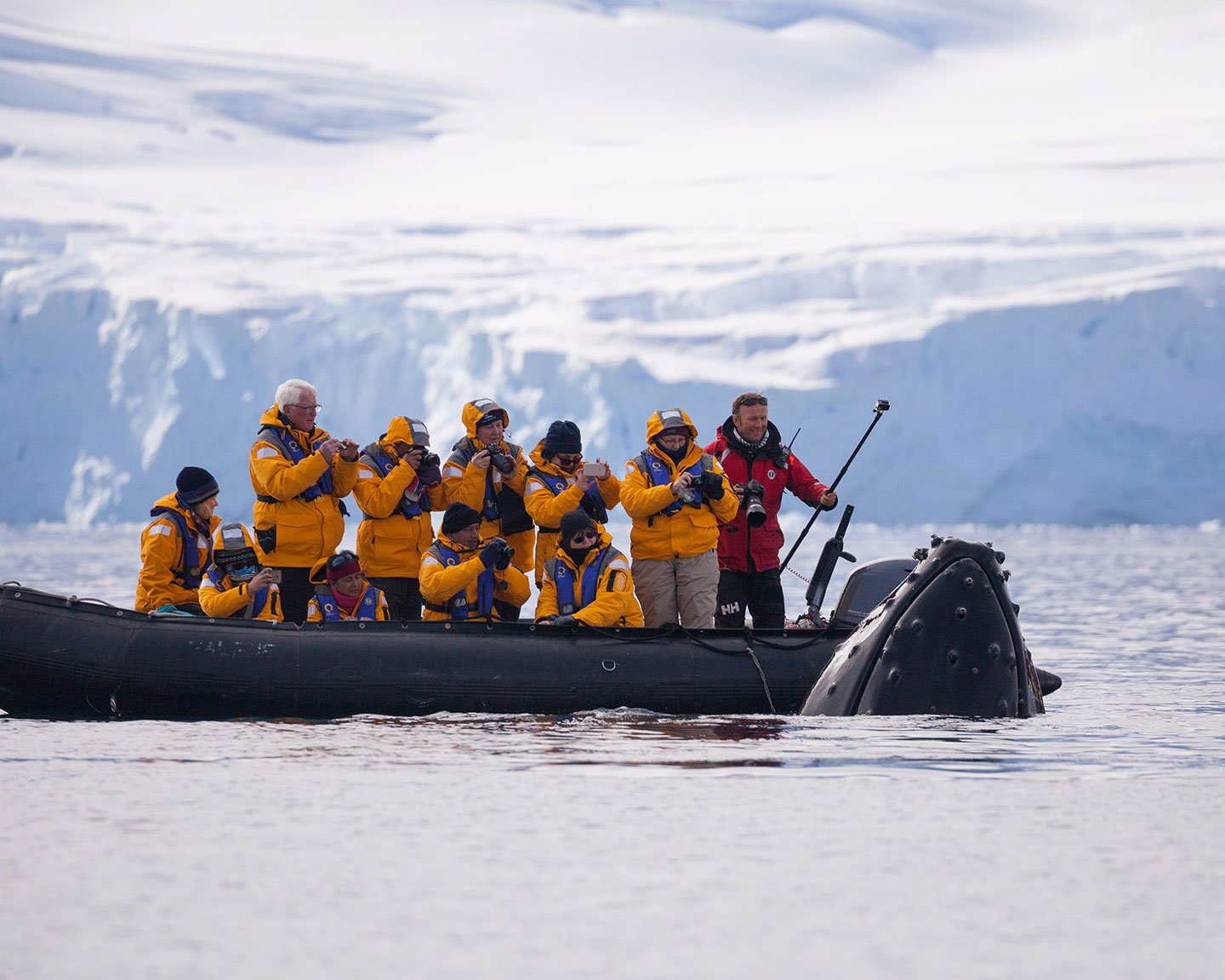 Quark Expeditions guests receive a visit from a curious humpback whale during a Zodiac outing.
