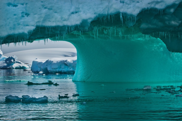 Ice flows are part of the unique photographic landscape in Antarctica.