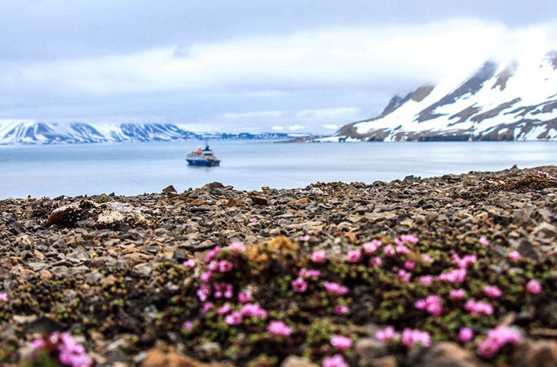 Travel to the Arctic with Quark Expeditions