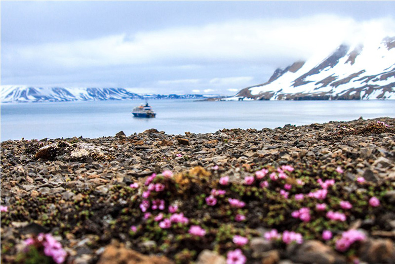Exploring Spitsbergen, the wildlife capital of the Arctic, by small expedition ship gives you more time to explore by land and Zodiac cruiser.