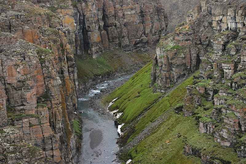 Gull Canyon on Somerset Island provides sanctuary for thousands of nesting seabirds in the arctic summer.