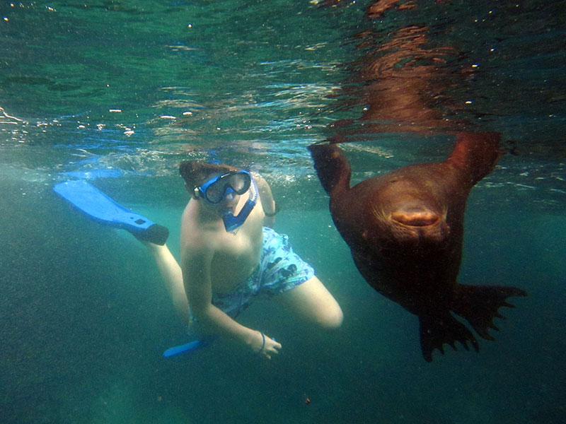 Snorkeling - Photo credit: Ecuador Tourism