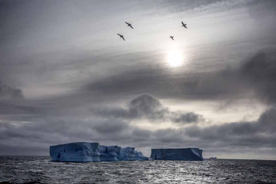 blog_end20151125_icebergs.jpg