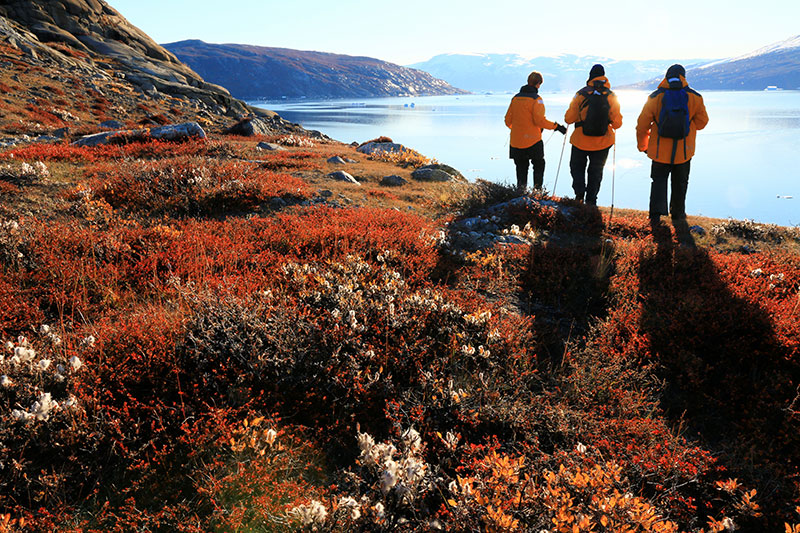 Passengers look over a pristine bay from their perch on the colorful tundra on a small ship expedition in East Greenland. Photo Credit: Steven G. Denver