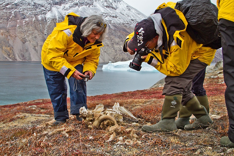 Greenland offers fantastic wildlife and scenic photography opportunities.
