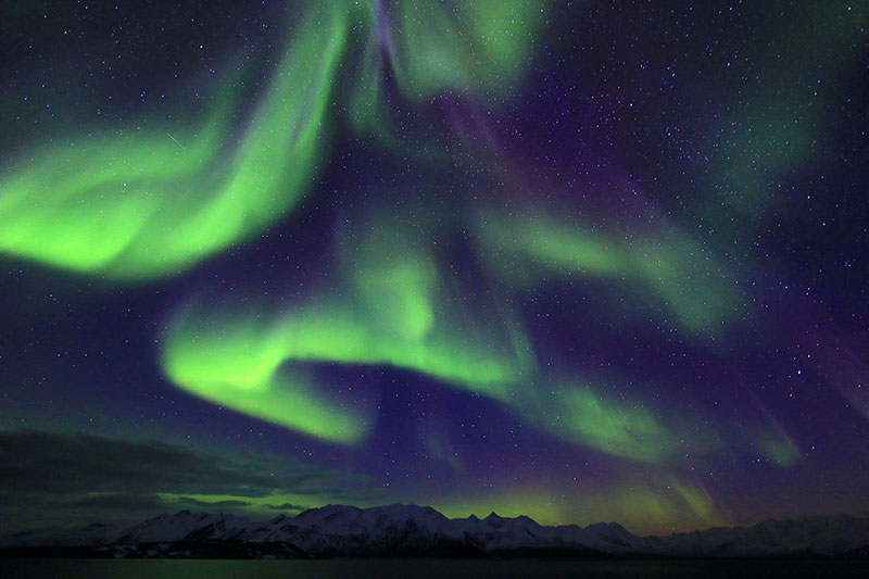 Northern Lights-YukunShih.jpg