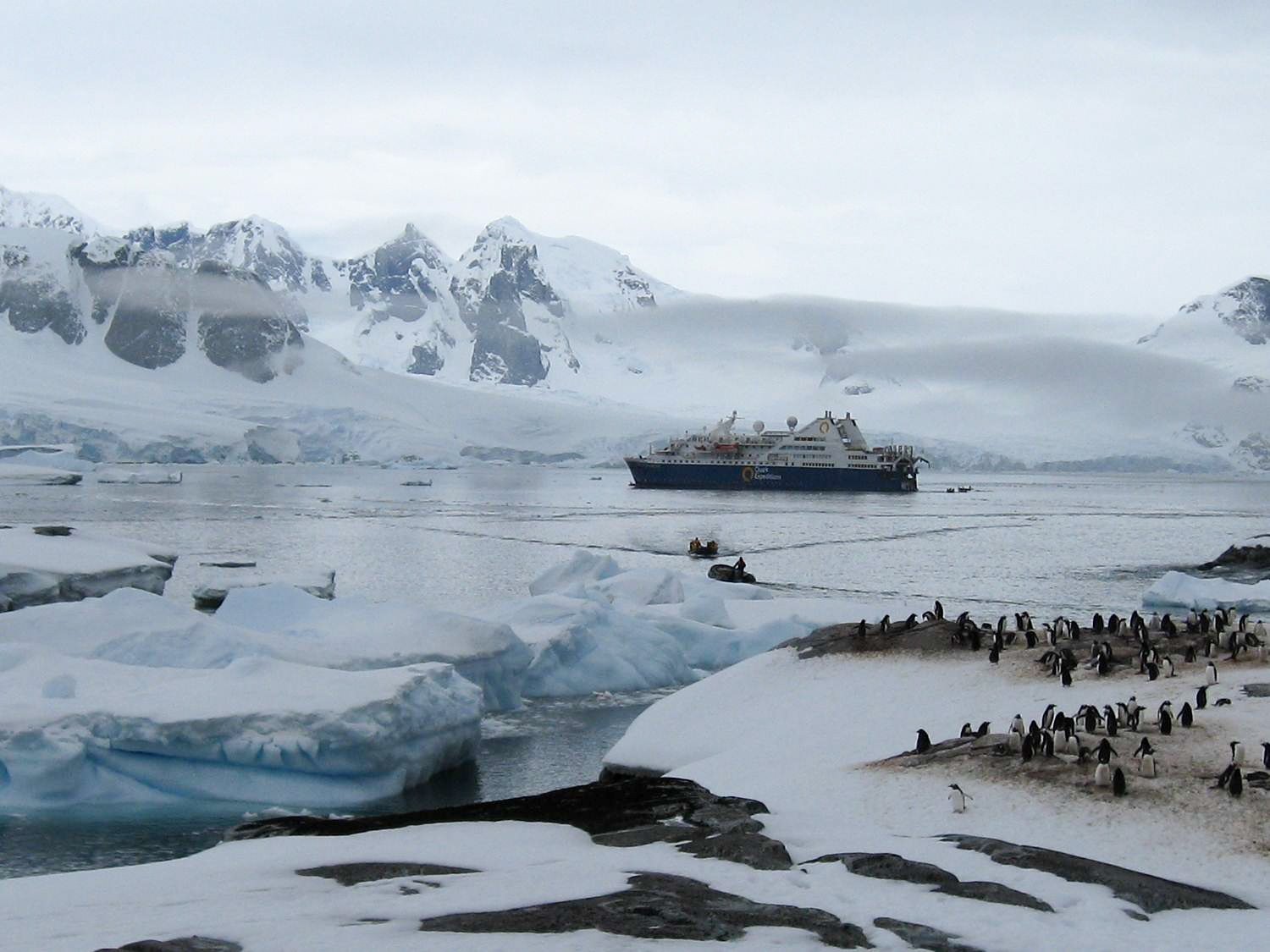 Antarctic Expedition-Photo credit: John and Karen Morrison.jpg