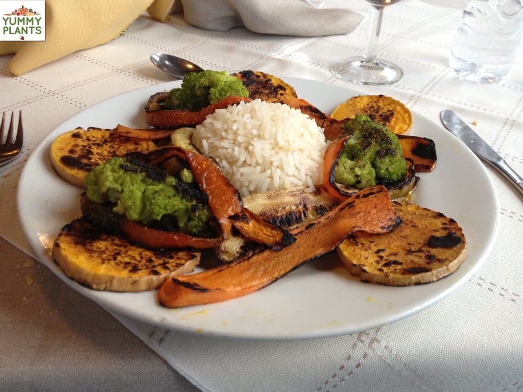 Delicious Vegan Meal at Hotel Tolkeyen in Ushuaia, Argentina