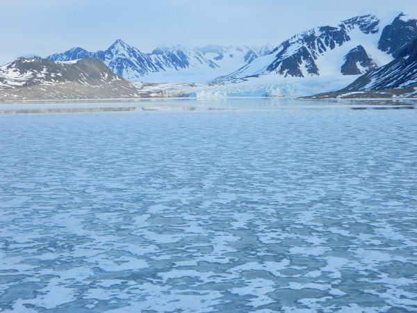 xArctic.Svalbard.July_.2011.Al-Gellin1-2-600x450.jpg.pagespeed.ic.ARPh-kSY_N