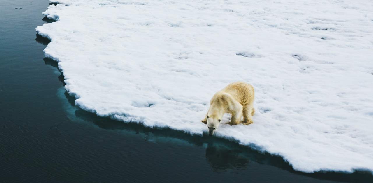 Spitsbergen Photography: In Search of Polar Bears