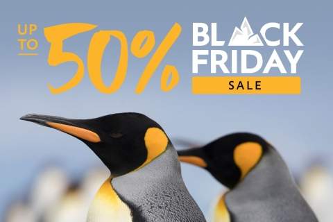 Up to 50% off Black Friday Sale