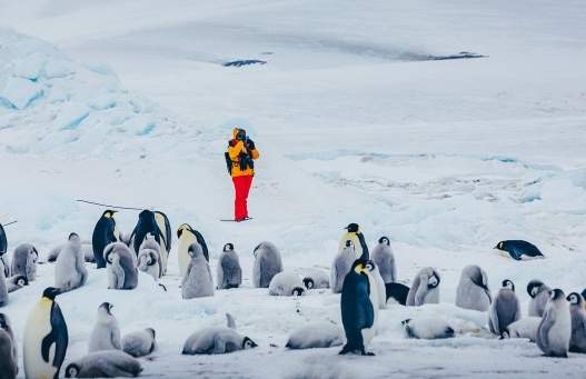 Snow HIll Island - Passenger & Penguins