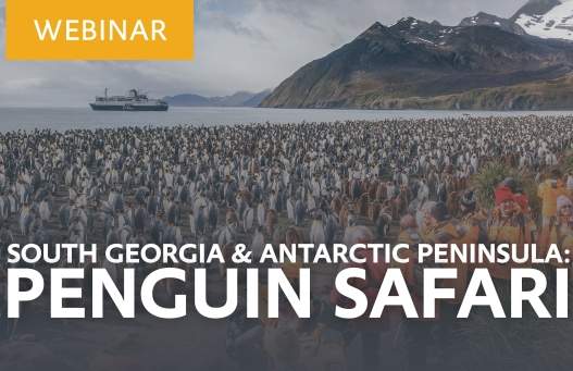 Learn about our “South Georgia & Antarctic Peninsula: Penguin Safari” voyage