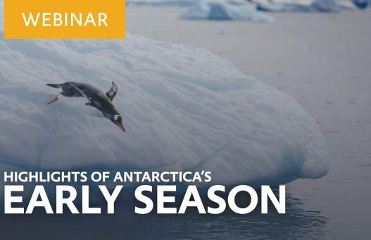 Tune in for our “Antarctic: Early Season Highlights” 