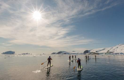 Passengers Stand-up Paddleboarding in the Antarctic
