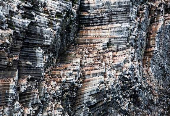 Close-up photo of Rubini Rock