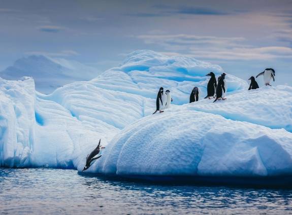Antarctic Cruises & Expeditions | Quark Expeditions